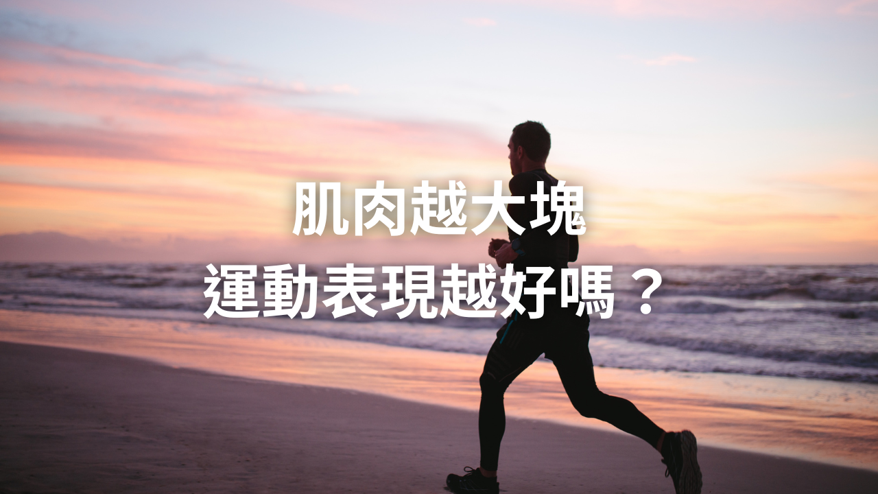 肌肉越大塊，運動表現越好嗎？