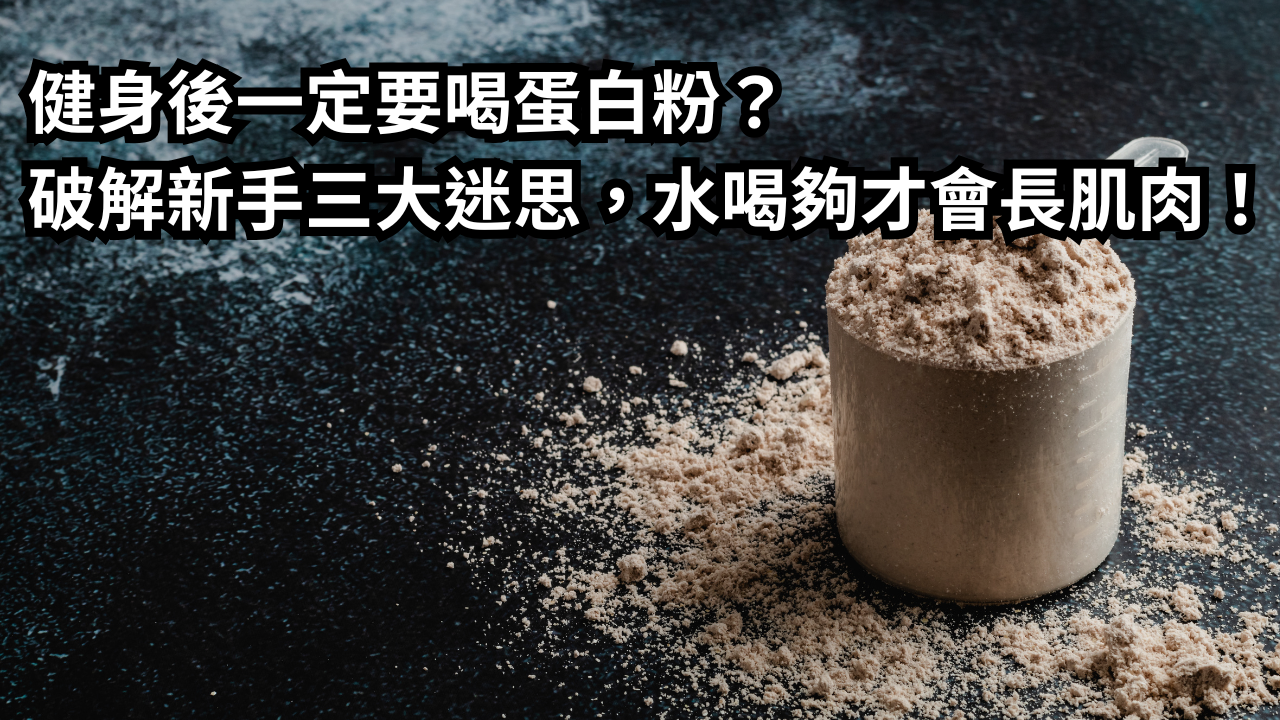 健身後一定要喝蛋白粉？破解新手三大迷思，水喝夠才長肌肉！
